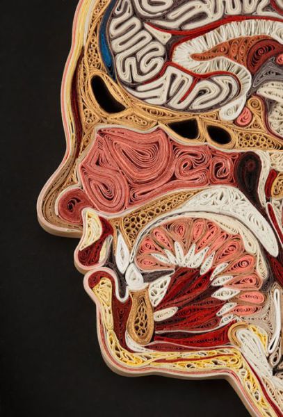 Extraordinary Paper Art That Is Completely Mindblowing