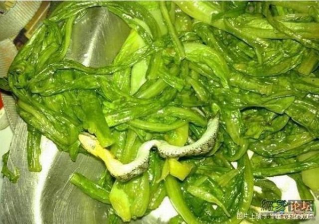 The Slimy Special Ingredient in a Chinese Salad