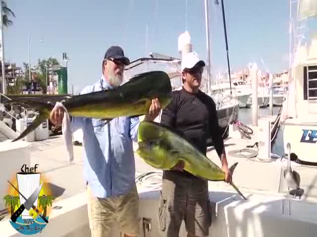 2 Guys Posing with Monster Fish They Just Caught When Suddenly... 