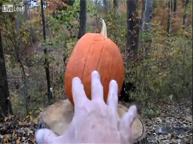 The Many Ways to Kill a Pumpkin 