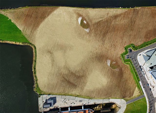 A Massive Land Art Portrait That Is Completely Astonishing