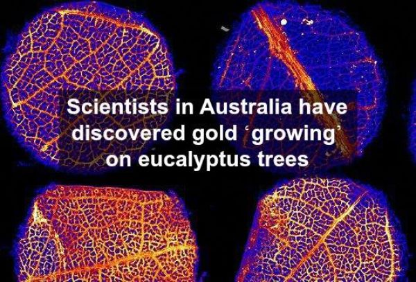 Facts and Photos about Science That Will Totally Rock Your World