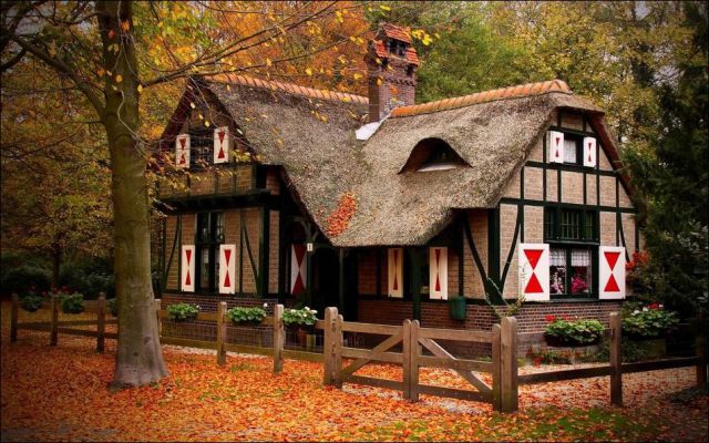 This Is What a House in the Woods Should Look Like