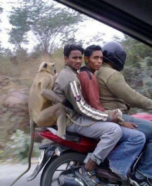 In India They Do Things Their Own Way