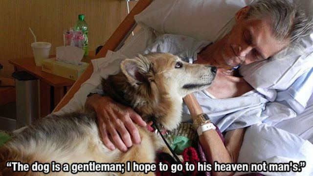 There Is Not Greater Friend to Man, Than His Dog