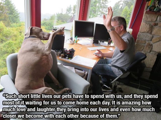 There Is Not Greater Friend to Man, Than His Dog