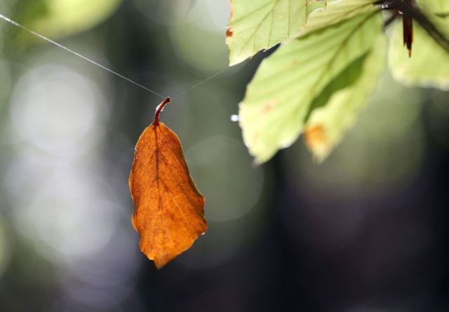 Pretty Photos Show That Fall Is in the Air