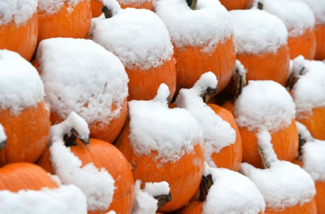 Pretty Photos Show That Fall Is in the Air