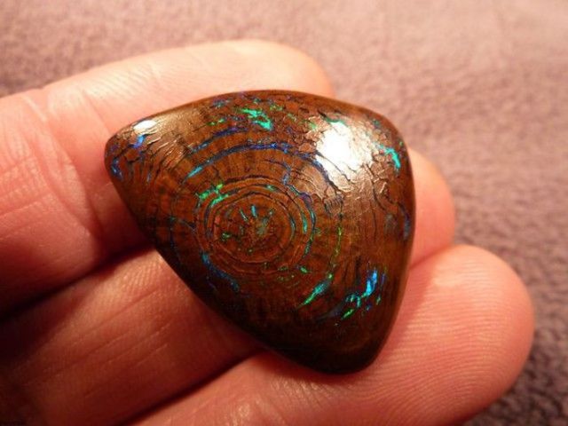 Beautiful and Rare Opalized Wood Boulder Opal