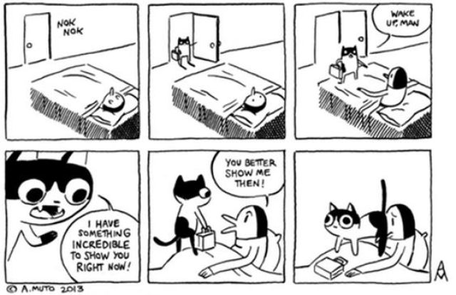 If You Own a Cat You Will Definitely Relate to This