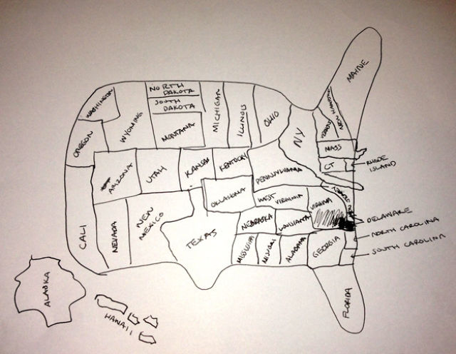 Attempts at Drawing a Map of the USA from Memory
