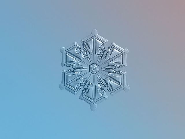 Incredible Macro Photos of Snowflakes