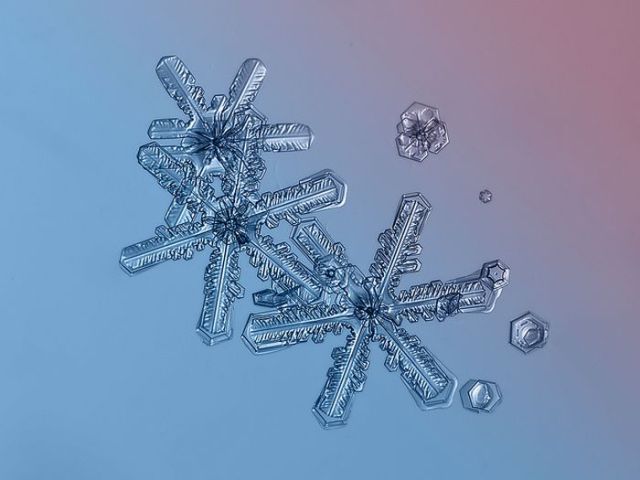 Incredible Macro Photos of Snowflakes