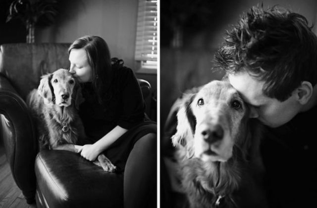 Poignant Portrait Pet Photography That Will Make You Cry
