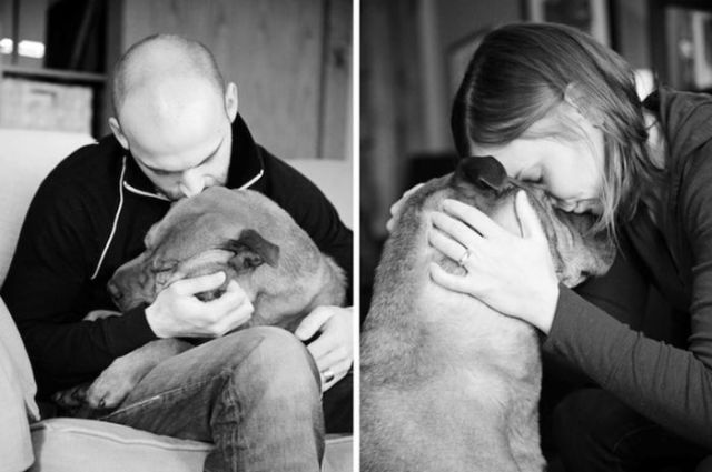 Poignant Portrait Pet Photography That Will Make You Cry