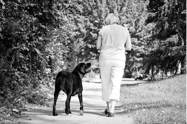 Poignant Portrait Pet Photography That Will Make You Cry