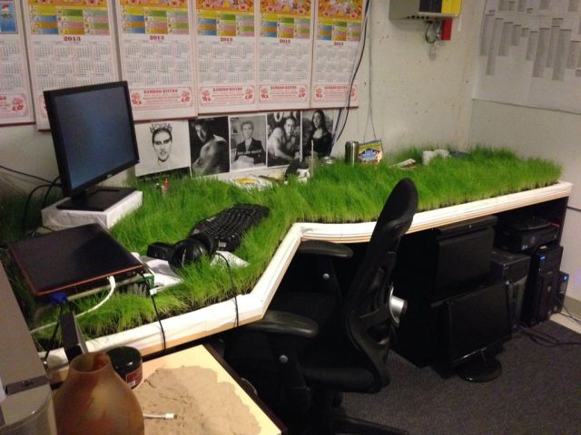 You Holidayed So Long That Grass Grew on Your Desk Man