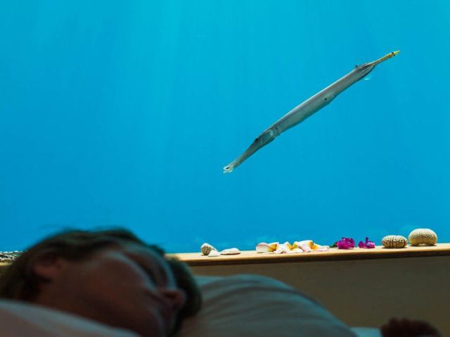 Now You Can Actually Sleep Under the Sea in Africa