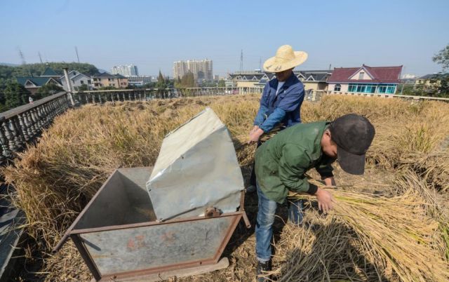 Chinese Farmer Solves Space Problem in an Unusual Way
