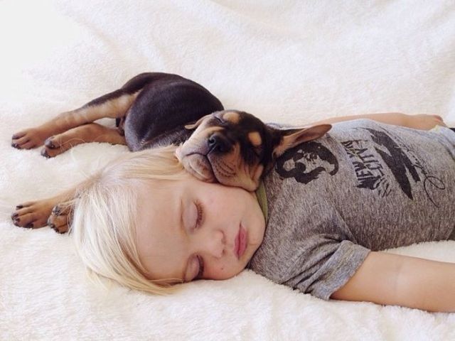 Cute Puppy and Toddler Cuddle Together