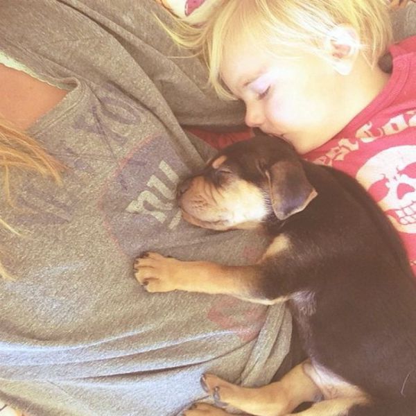 Cute Puppy and Toddler Cuddle Together