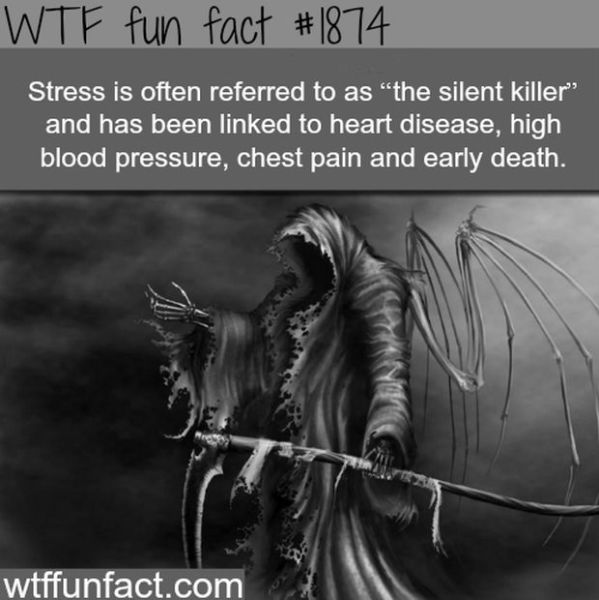 Arbitrary Facts about Your Health