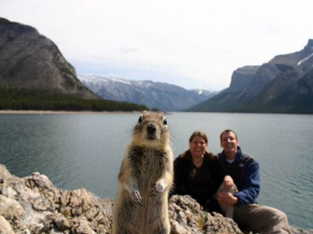 Epic 2013 Photobombs That Will Make You Smile