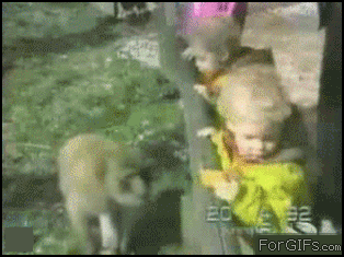 Animals and Kids Battle It Out Against Each Other