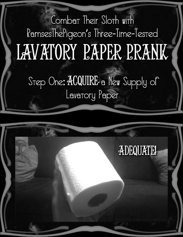 How to Execute the Most Annoying Toilet Paper Prank Ever