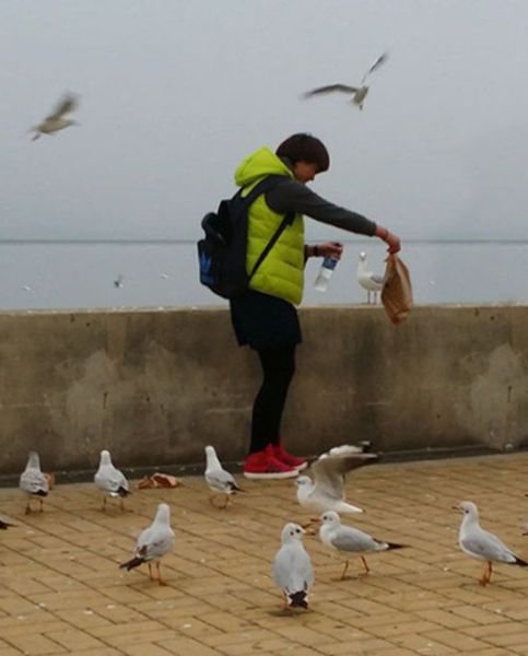 Unlucky Seagull Becomes a Chinese Couple’s Dinner