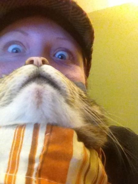 Daily Picdump