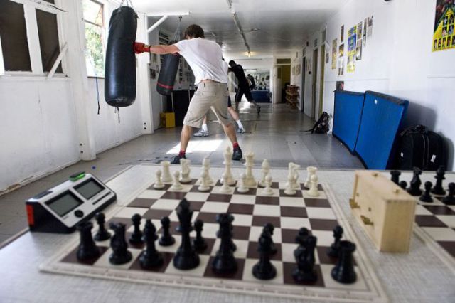 Chessboxing Is a Real Sport