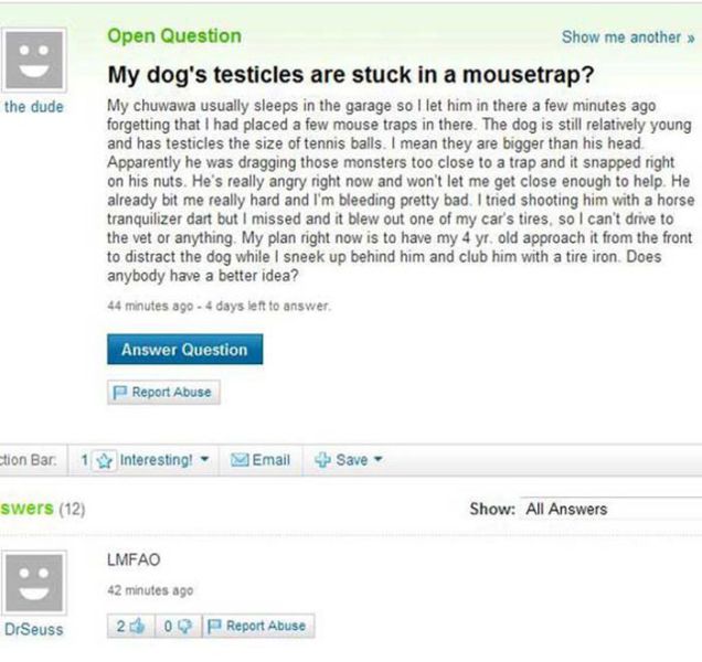 The Dumbest Answers Ever Posted on Yahoo