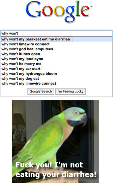 Google Autocomplete Leaves for Some Very Interesting and Unanswered Questions