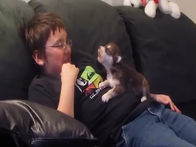 20-Day-Old Puppy Learning to Howl by Imitating Little Boy 