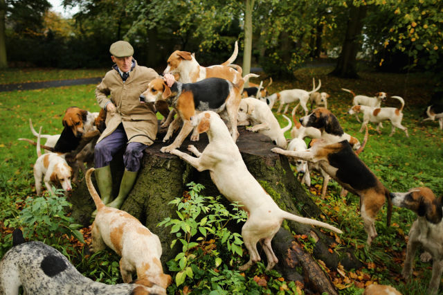 Top 2013 Photos from Getty Images