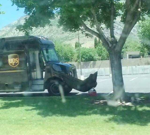 People Who Made 2013 That Much More Legendary