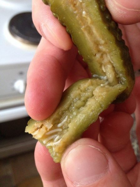 WTF is in These Pickles!?