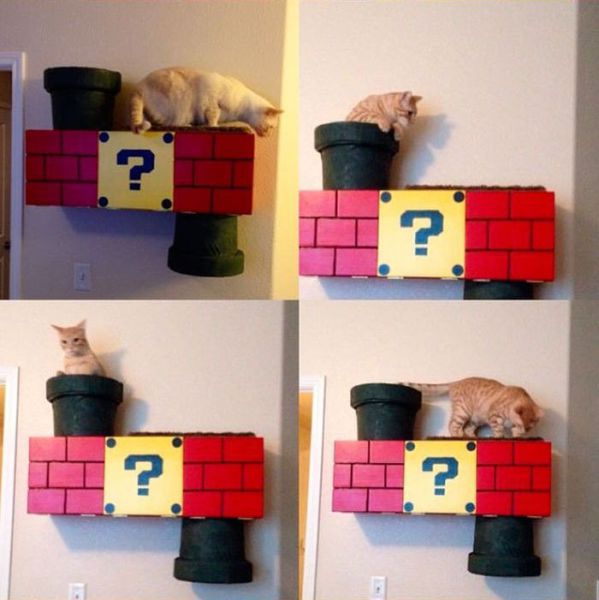 Super Mario Inspired Cat Shelf