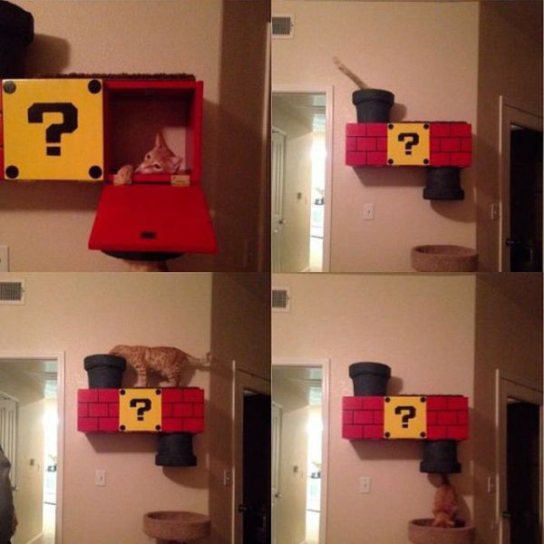 Super Mario Inspired Cat Shelf
