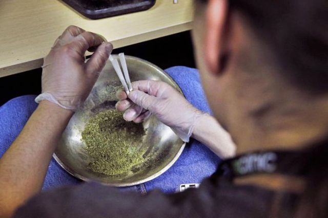 Marijuana Becomes Legal in Colorado