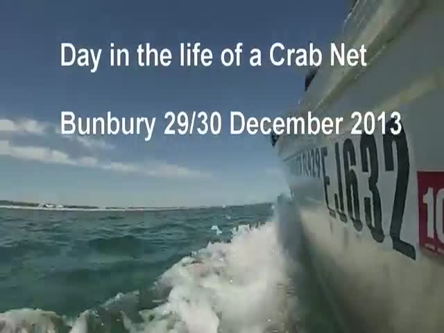 The Life of an Underwater Crab Net 