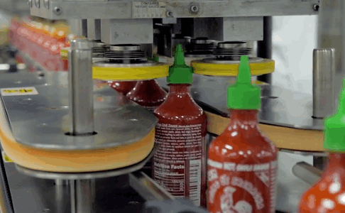 The Intricate Process of Making Sriracha