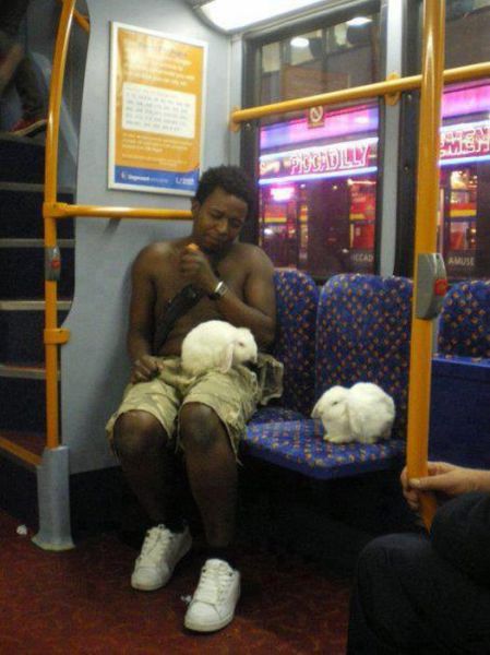 Hilariously Odd People Spotted on Public Transport