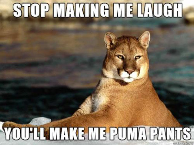 Terribly Funny Puns That Deserve a Facepalm Too