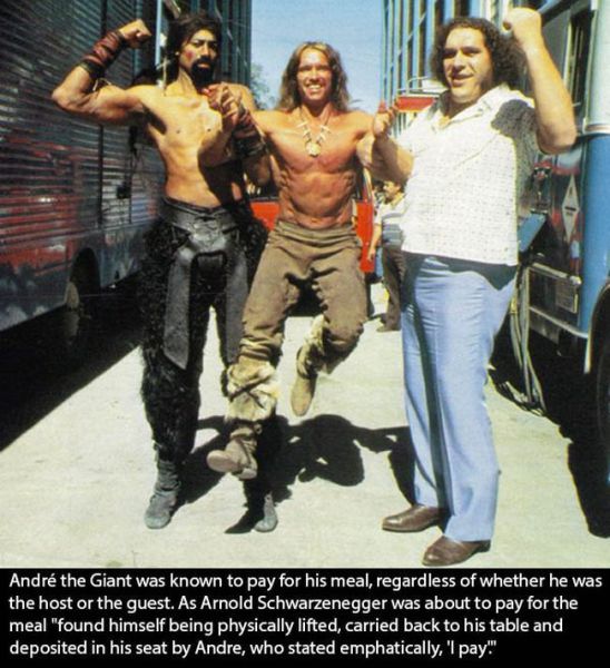 A More Intimate Look at the Life of Andre the Giant