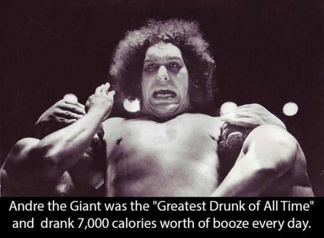 A More Intimate Look at the Life of Andre the Giant