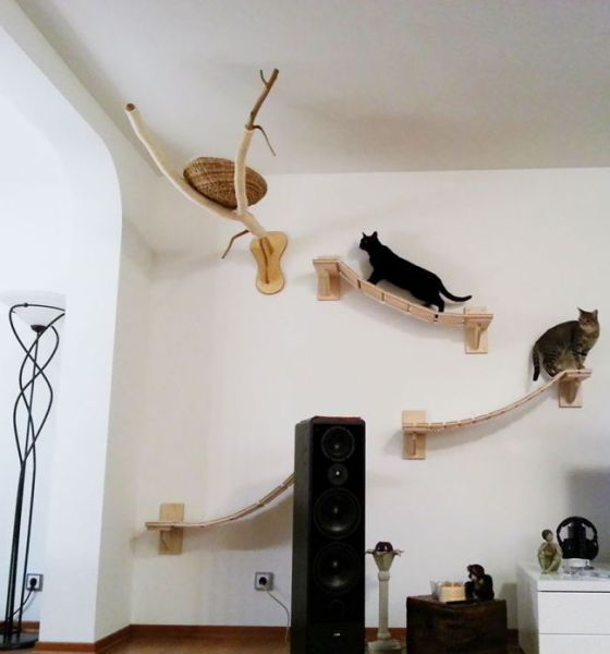 A Totally Cool and Creative Playground for Cats