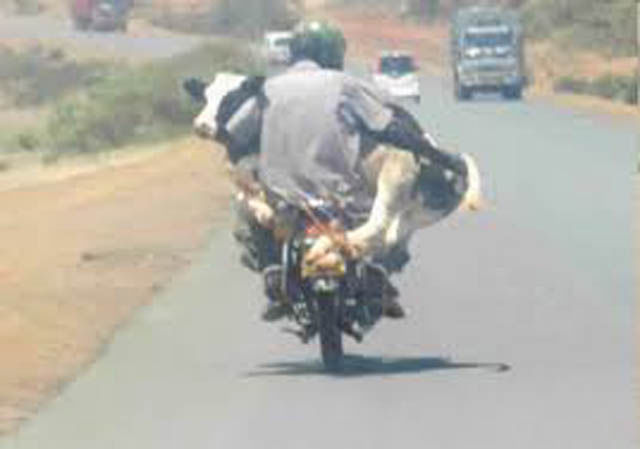 Only in Africa