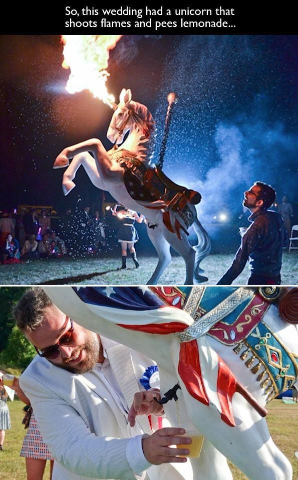 Weird Things That Are Absolutely Real! (56 pics)